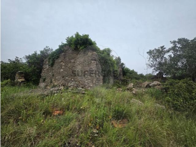 Moradia T2 em Ribafria e Pereiro de Palhacana