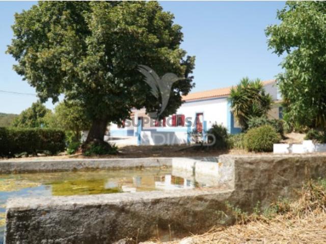 Quintas e casas rústicas T3 em Vila Boim
