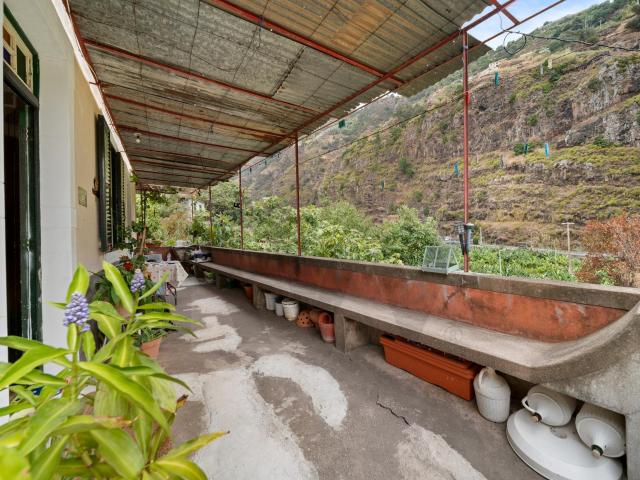 MORADIA T2, RIBEIRA BRAVA, COM PALHEIRO