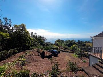 Moradia T2, São João, Lajes do Pico | BPI Expresso Imobiliário