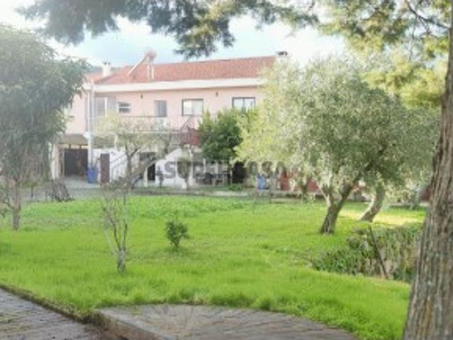 Moradia T3+1 com Terreno