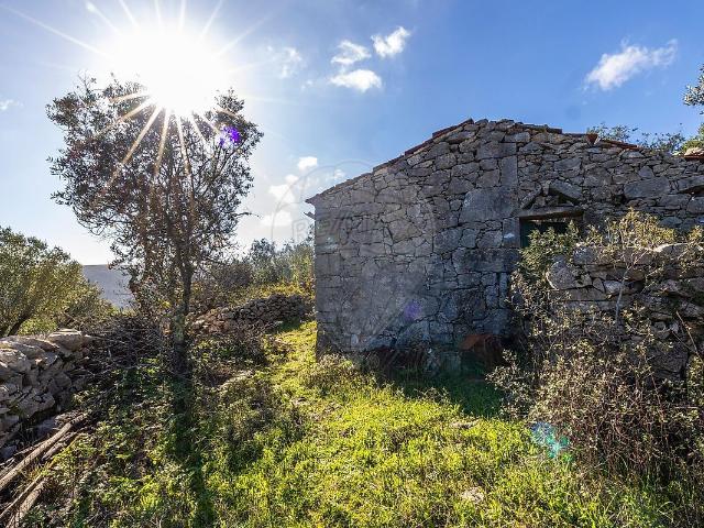 Moradia T3 à venda em Arrimal e Mendiga, Porto de Mós RE/MAX Portugal