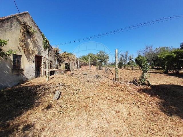 Moradia T3 à venda em Oliveira do Conde, Carregal do Sal RE/MAX Portugal