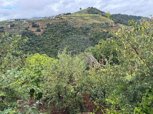 Moradia T3 à venda em Oliveira, Mesão Frio RE/MAX Portugal