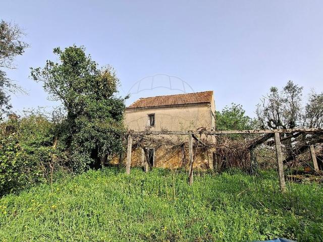 Moradia T3 à venda em Santiago da Guarda, Ansião RE/MAX Portugal