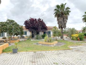 Moradia T3 com 5000m² de terreno Foros de Salvaterra