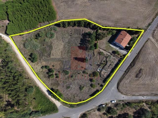 Moradia T3 com 9.000 m² de terreno | Alvorninha | Caldas da Rainha
