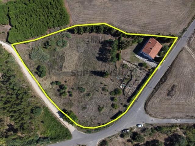 Moradia T3 com 9.000 m² de terreno | Alvorninha | Caldas da Rainha
