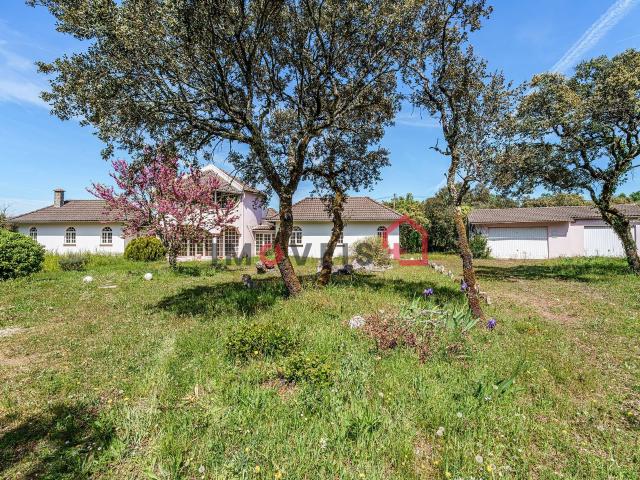 Moradia T3 com 10.000m2 de terreno