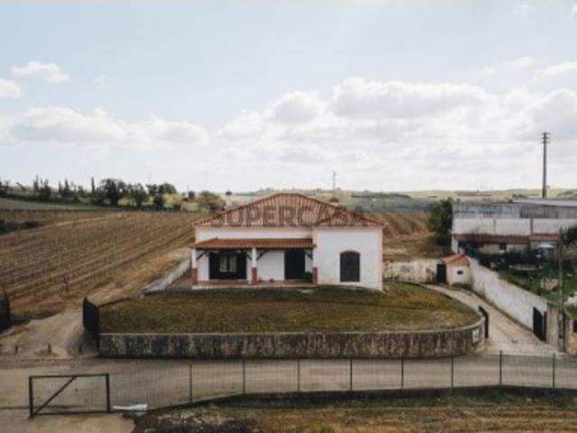 Moradia T3 com Terreno 10.000m² e Vinha em Produção | Arneiro Torres Vedra