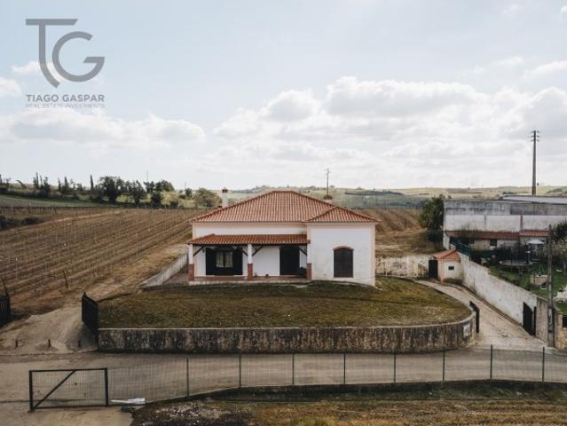 Moradia T3 com Terreno 10.000m² e Vinha em Produção | Arneiro Torres Vedra