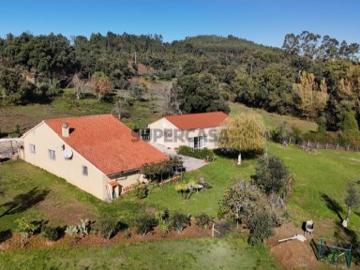 Moradia T3 com Alojamento local, garagem, poço e acesso privado, Alvaiazere