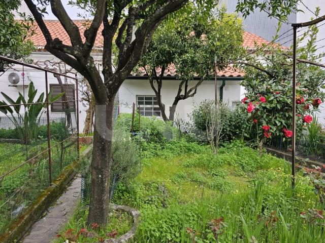 Moradia T3 com Garagem e Logradouro