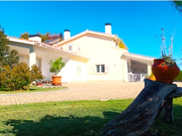 Moradia T3 Com Piscina Coberta, Quintal E 2 Garagens, Belmo. 450m² Caria