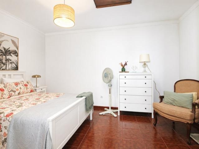 Moradia T3 como Nova em Alter do Chão | Mobilada | Quintal | Lareira
