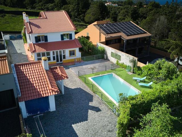 Moradia T3 Exclusiva com Piscina, Jardim e Encanto Rústico em São Vicente Ferreira