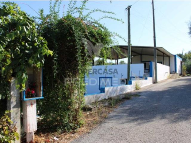 Moradia T3 em Olalhas