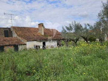 Moradia T3 em Areias e Pias