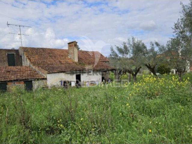 Moradia T3 em Areias e Pias