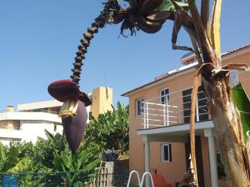 Moradia T3 em Lazareto