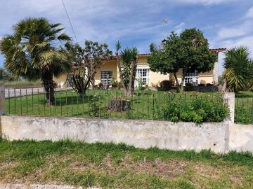 Moradia T3 em Pombal