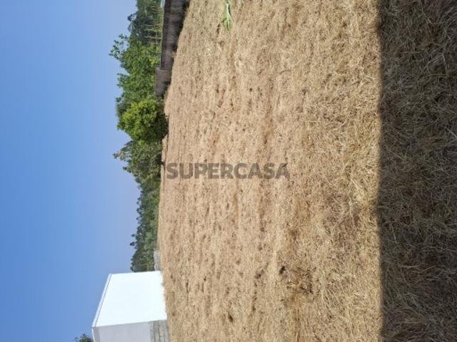 Moradia T3 em Soure