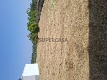 Moradia T3 em Soure
