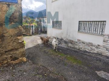 Cerejal, Vila Nova do Ceira, Concelho de Góis, Distrito de Coimbra