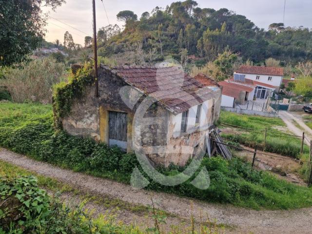 Moradia T3 isolada com vasto terreno e vista campo em Condeixa a Nova
