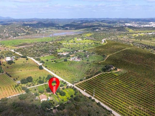 Moradia T3 isolada inserida num terreno com 5.230 m2, vedado com árvores de fruto diversas e com um furo de água