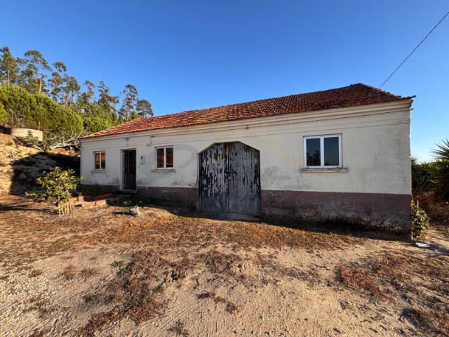Moradia T3 para reabilitação com 1.821 m² de terreno | Almagreira Pombal