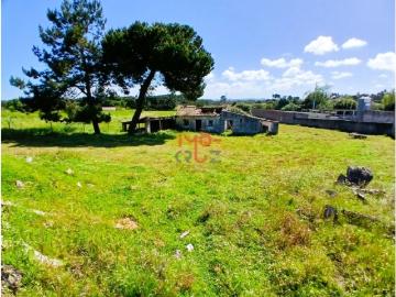 Moradia T3 para Recuperar na Serra do Bouro Terreno de 4.641 m² com Elevado Potencial