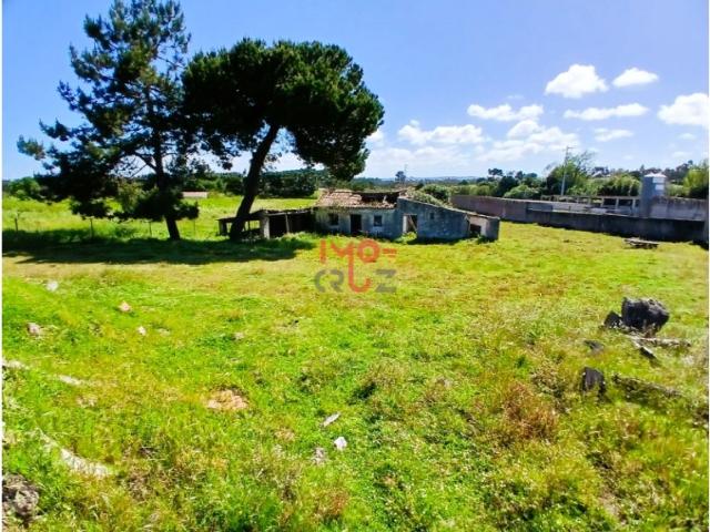 Moradia T3 para Recuperar na Serra do Bouro Terreno de 4.641 m² com Elevado Potencial