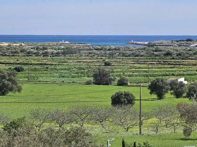 Moradia, Tavira