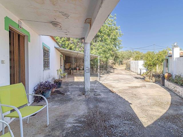 Moradia, Tavira