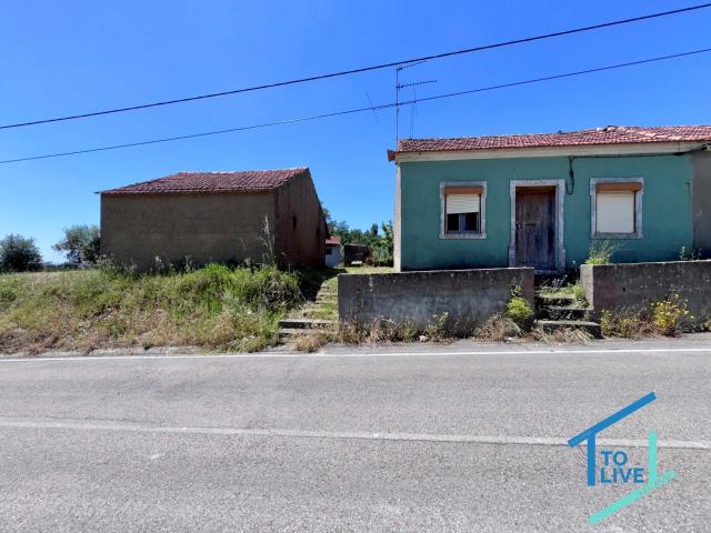 Moradia Térrea T2 com Anexos, Ruína em Pedra e Terreno Agrícola – Oportunidade com Grande Potencial no Centro de Portugal
