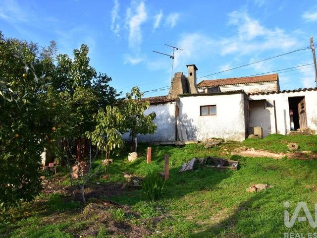 Moradia térrea T2 em Chamusca e Pinheiro Grande 121m² Chamusca e Pinheiro Grande