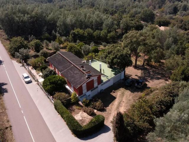 Moradia Térrea T4 com 3.257 m² de Terreno, Poço e Pomar – Se. 3257m² Vila Nova Do Ceira