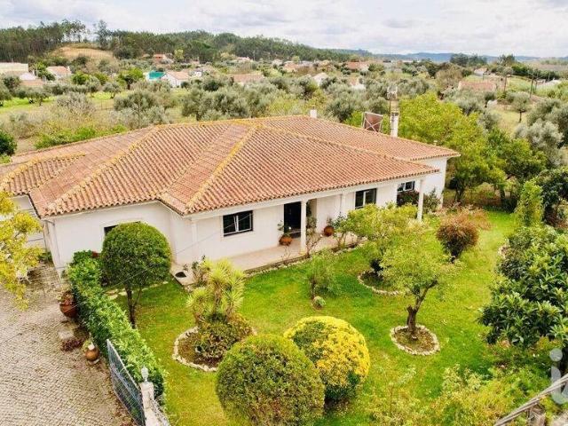 Moradia térrea T4 em Pelariga de 386 m² 386m² Pelariga