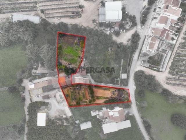 Moradia térrea com logradouro situada a 5 minutos de Tavira