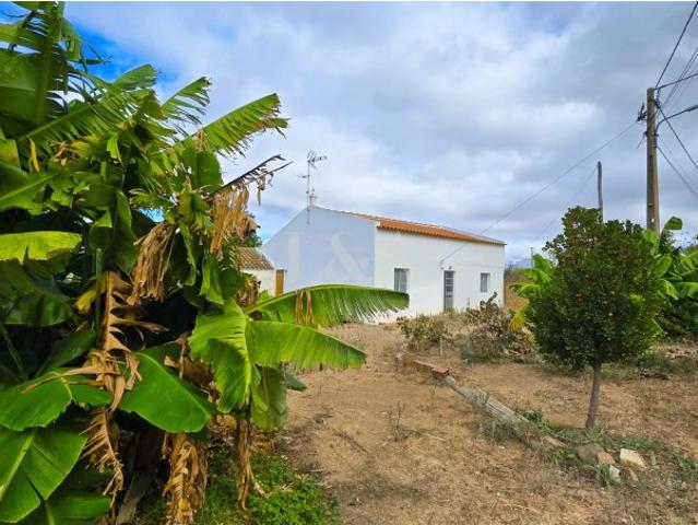 Moradia Térrea com Terreno e Árvores de Fruto em Ambiente Rural Tranquilo