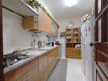 Rua Do Roque, Quinta da Mimosa, Amora, Distrito de Setúbal