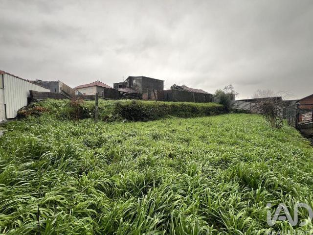 Moradia térrea em Campo e Sobrado de 80 m² 80m² Campo e Sobrado