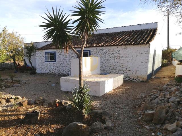 Moradia típica com terreno agrícola em Santa Catarina da Fonte do Bispo
