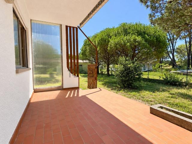 Moradia, Torreira