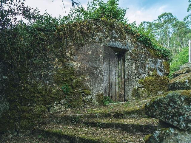 Moradia, Travassos