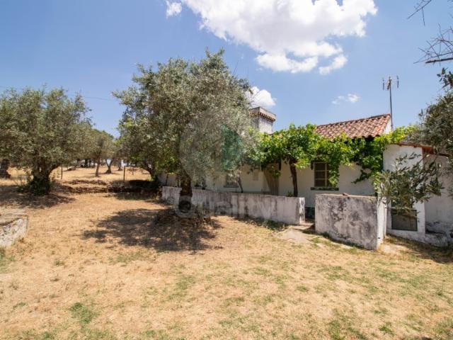 Moradia T1+1 com Terreno Rústico em Urra, Portalegre