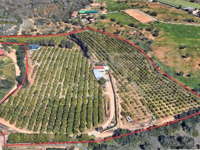Moradia V1 com lote de terreno rústico para venda em Pêra