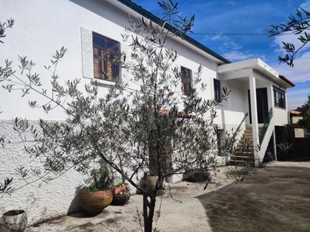 Moradia Valtorno Vila Flor