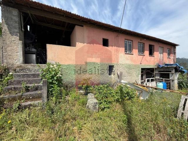 Moradia, Vila Verde e Barbudo
